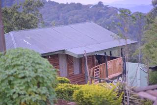 ruhija gorilla friends resort - - 8