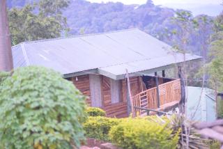 ruhija gorilla friends resort - - 6