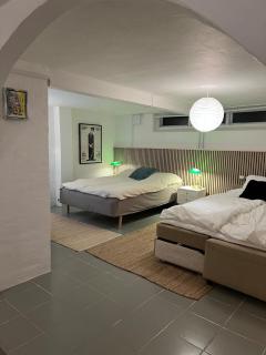 Large basement apartment in the middle of Odense - Odense - 8