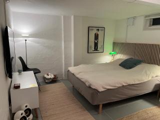 Large basement apartment in the middle of Odense - Odense - 5