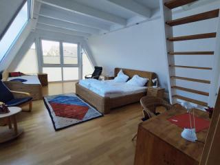 Ferienwohnung im Müritz Nationalpark in Mirow - Mirow - 8