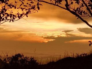 Holidays Homestay Vagamon - Vagamon - 3