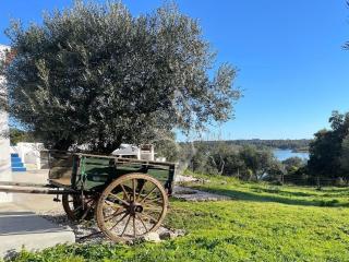 Monte da Memória - Aviz - 4