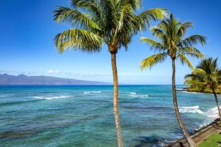 KBM Resorts FREE CAR Lokelani LOK-B201 Ocean Front 2 Bedrooms Recently Remodeled - Honokowai - 9
