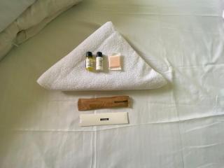 The Nature Inn Hotel - Pushkar - 1