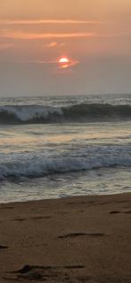 Emerald Canopy Villa - Galle - 4