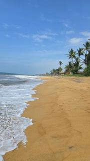 Emerald Canopy Villa - Galle - 6