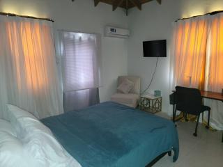 Home away from home Apt#4 - Saint Philip - 3