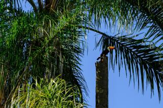 Acalanto Inn - Socorro - 9