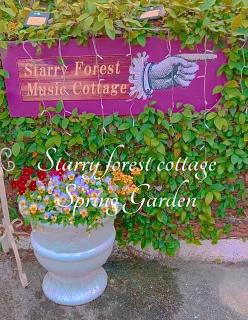 猫とピアノと星空のリゾートブティックコテージ -Starry Forest Cottage Okinawa- - Onna - 0