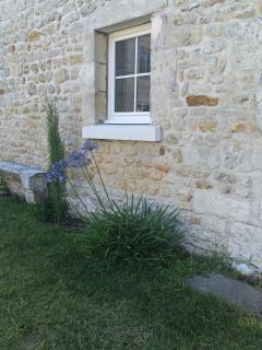 Les rives du Rochefollet - Saint-Vaize - 2