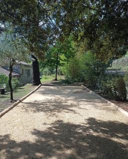 Le Mimosa des Cévennes - 7