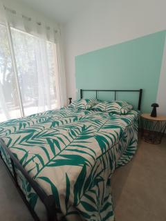 Le Mimosa des Cévennes - 5