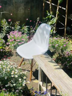 Nhà nhỏ nguyên căn ấm áp - Thi Vị Homestay - 6