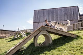 Hunderesort Waldeck - 4 Sterne Urlaub mit Hund - Philippsreut - 7