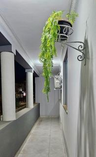 SB Hospedaria Pousada - Uberaba - 2