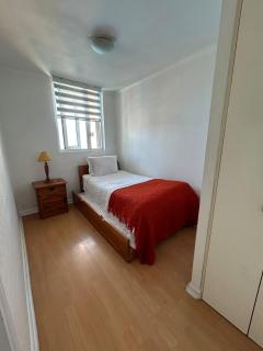 Depto 2 habitaciones y 2 baños - Concepción - 3