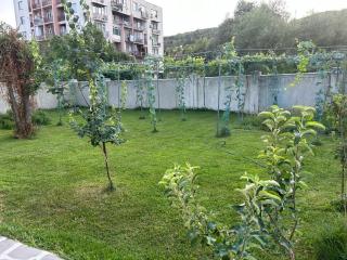 Wine tasting - Kitesa's wine cellar - Mtskheta - 1