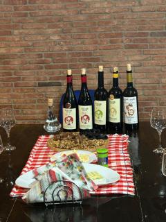 Wine tasting - Kitesa's wine cellar - Mtskheta - 8