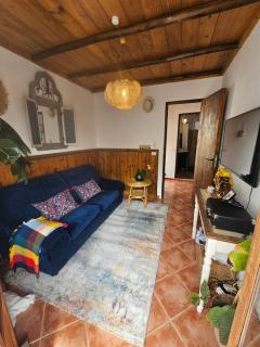 Casa Fuente Hervera - Vega de San Mateo - 6