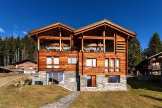Wohlfühlchalet auf der Riederalp - Riederalp - 0