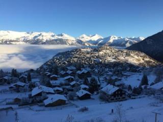 Modernes Chalet - Blue Merle - Vercorin - 2
