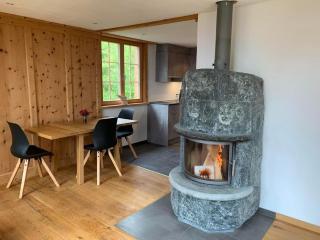Neuwertiges 2-Zi-Ferienchalet 55m2 - Monstein - 5