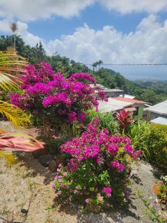 Le Chez Garden Hideaway - Mardigras - 2