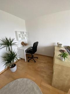 Ruhige 3 Zimmer - Ferienwohnung in der Rüti mit traumhafter Aussicht - Herisau - 8