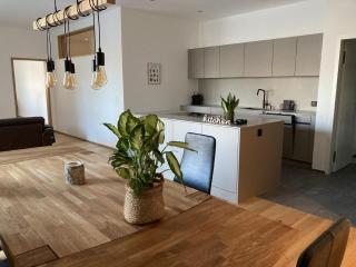 Casa Riva, grosse, neu ausgebauteWohnung in Laax - Laax - 4
