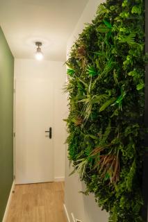 Jungle Room - Centre ville - 1