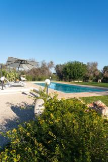 Villa L'Ulivo by Bianco Puglia Vacanze - San Vito dei Normanni - 4