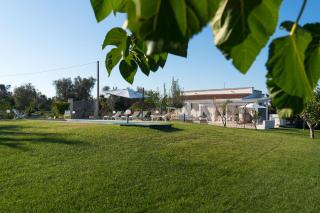 Villa L'Ulivo by Bianco Puglia Vacanze - San Vito dei Normanni - 5