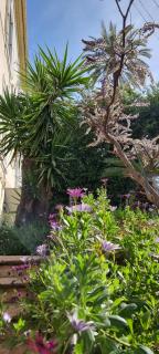 Villa Magenta - Cannes - 9
