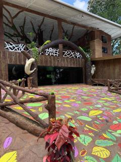Chato Arenal Lodge - Fortuna - 5