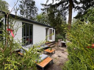 Holidayhouse on park de IJsvogel Voorthuizen Swimmingpool Restaurant and holiday facilities - Voorthuizen - 6