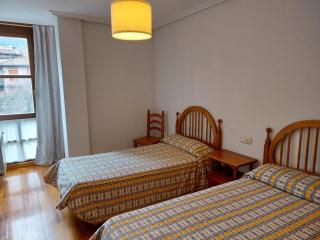 Céntrico apartamento en el casco antiguo de Potes - Potes - 6