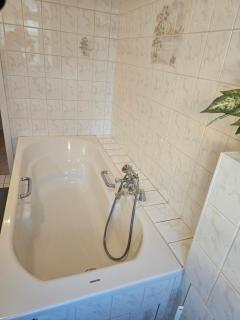 Unterkunft für Familien, Montagen arbeiter, und und und, Sweet Home - Roßwein - 5