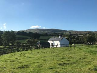 Mournes Family Cottage with Hot Tub - Hilltown - 8