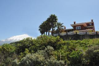 Vivienda Vacacional Paseo Mirabal - Icod de los Vinos - 0