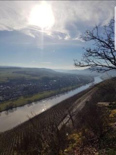 Vacation home Moselsteg - Brauneberg - 0