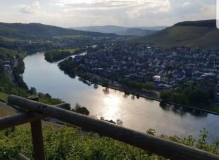 Vacation home Moselsteg - Brauneberg - 8