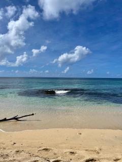 Petit Soleil Ste Luce - Appart T2 à 7 mins de la plage à pied - Sainte-Luce - 1