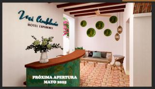 Mi Andalusia Hotel Experience - Málaga - 9