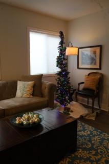 Grand millennial Style UW Cap Hill EV - Seattle - 4