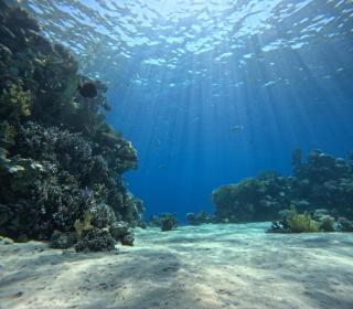 اجمل تخيم في اجمل مناطق طبعيه - Sharm El Sheikk - 8