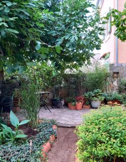 Unter dem Feigenbaum! Gartenstudio - Višnjan - 9