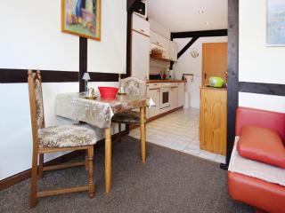 Ferienwohnung in der huebschen Inselstadt Malchow - Malchow - 8