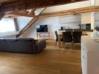 Splendid Penthouse - Zurigo - 3