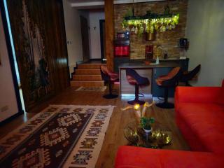 Zen Retreat Apartment - Sinaia - 3